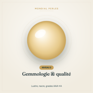 Mondial Perles — Niveau 2 — Gemmologie & qualité